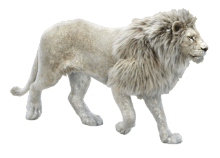 Gif animé lion blanc